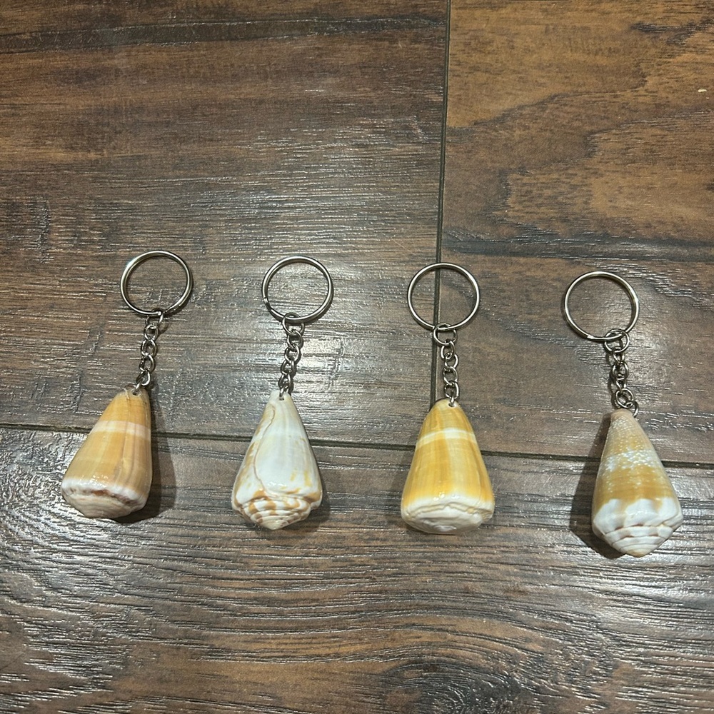 Cone Shell Keychain Set